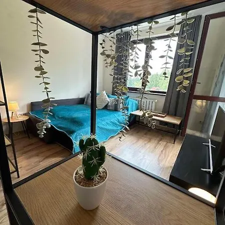 Large In Apartment Borowez