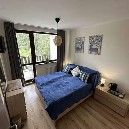 Large In ボロヴェッツ