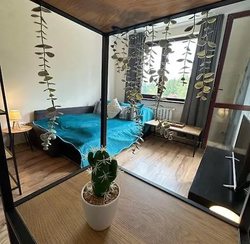 Large In Appartement Borovets